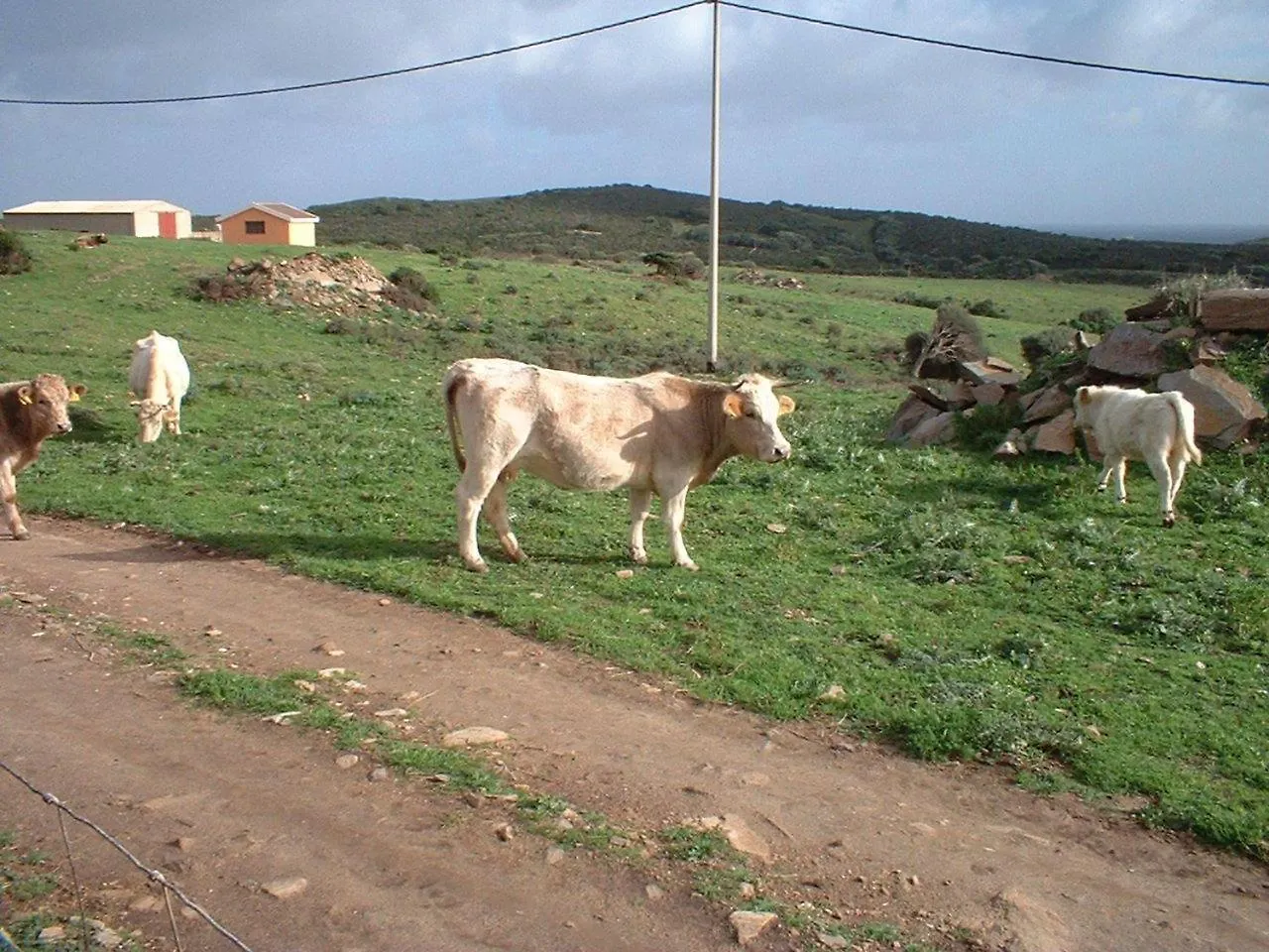 Agriturismo Depalmas Stintino 0*,