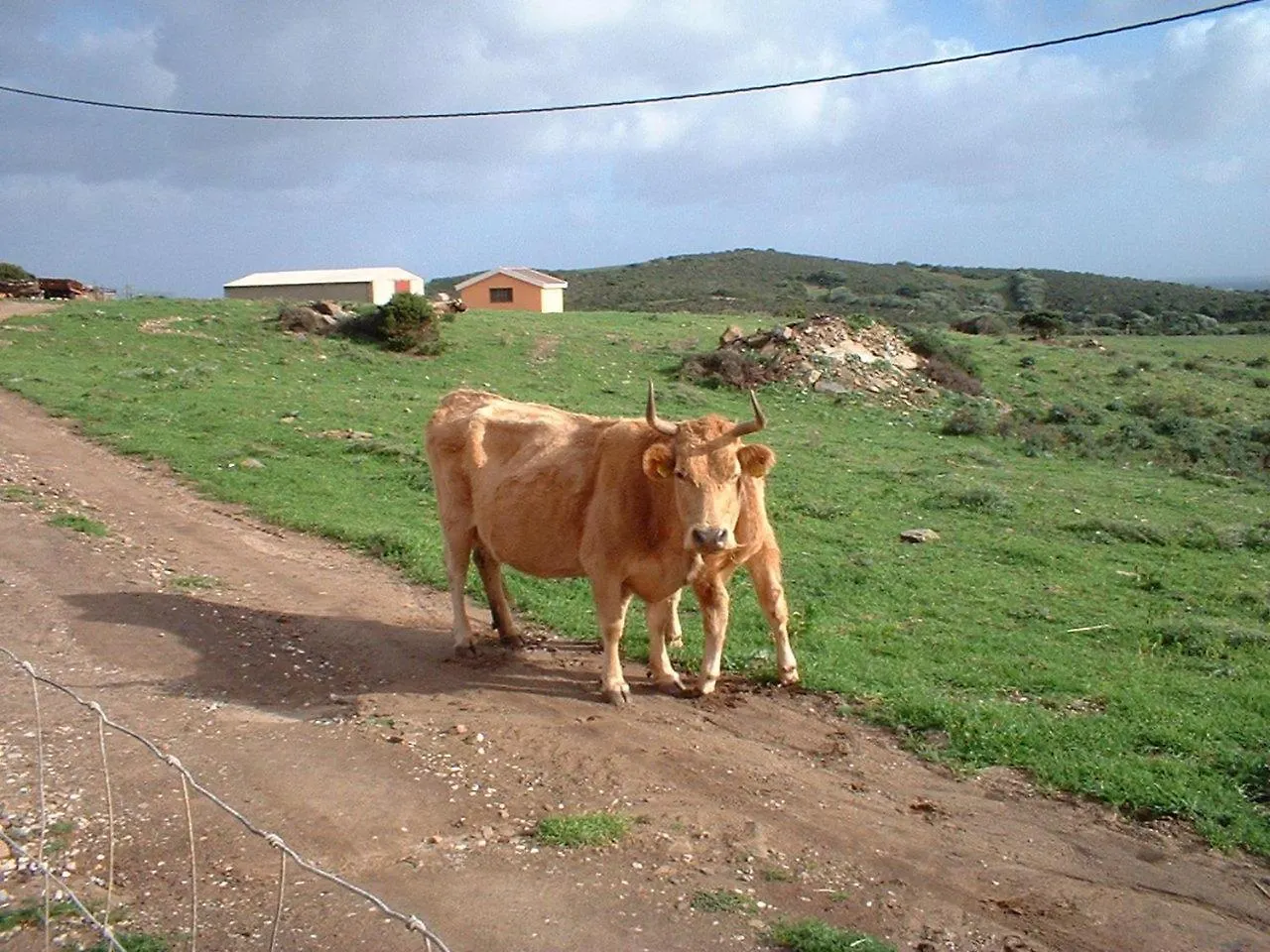Agriturismo Depalmas Stintino Alojamento de Turismo Rural