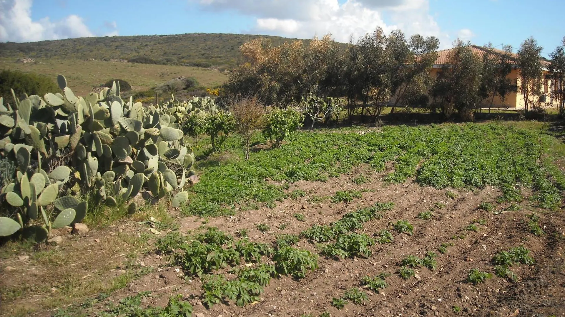 Agriturismo Depalmas Stintino Alojamento de Turismo Rural